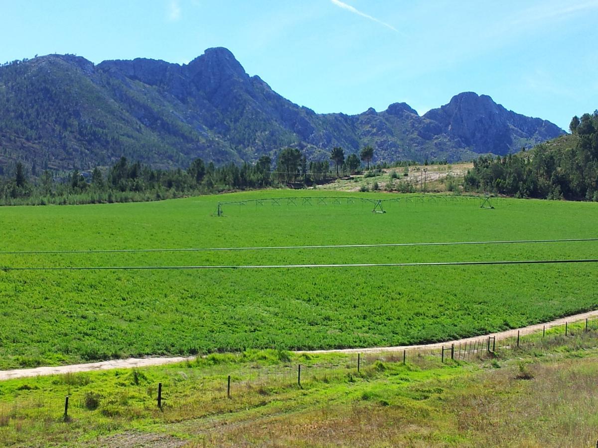 Kouwdouw Guest Farm Villa George Luaran gambar